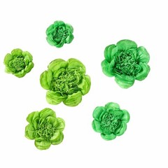 6 pack 7″ 9″ 11″ Mint and Apple Green Tissue Paper Peony Flowers Home Backdrop