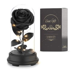 Deluxsa Forever Preserved Black Rose Birthday Gifts for middle,