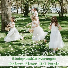 1500Pcs Real Dried Ivory White Hydrangea Flower Petals Natural smal Petals