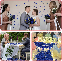 2200PCS Artificial Flower Petals Fake Rose Petals for Romantic Night,Wedding,Pro