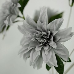 2 SILVER 20″ Artificial Dahlia SILK FLOWER BUSHES Wedding Party Home Decorations
