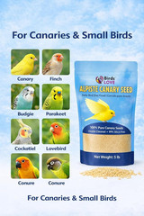 Premium Non-GMO Double Cleaned Canary Seed – 5 lbs for Birds