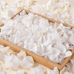1000+Pcs Dried Real White Rose Petals, Freeze Preserved Flower Petals 8.47oz for