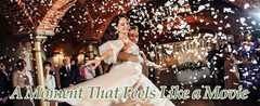 1000+Pcs Dried Real White Rose Petals, Freeze Preserved Flower Petals 8.47oz for
