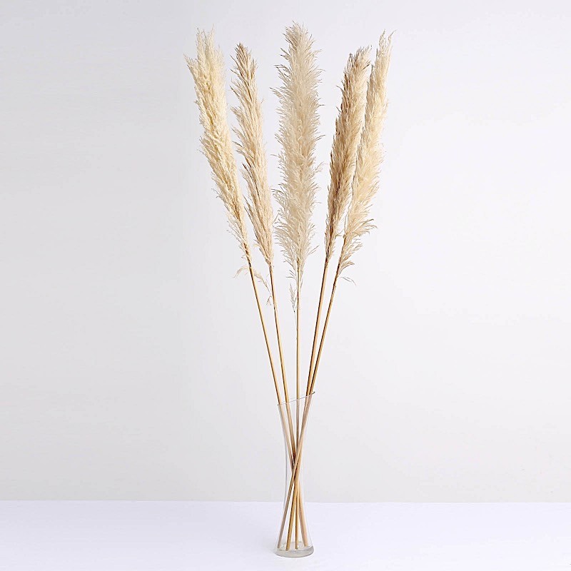 6 Sprays Stems 49″ Natural Pampas Grass Dried Plant Party Events Decorations