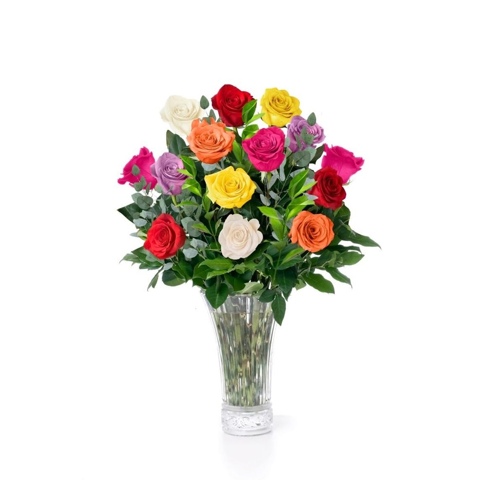 Aquarossa Farms – 12 Assorted Roses Bouquet, 12 STEMS, Colors