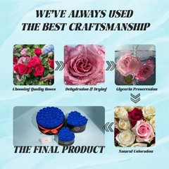 Otuo 16 Preserved Roses in Heart-Shaped Box, Flowers for 16 Roses, Blue