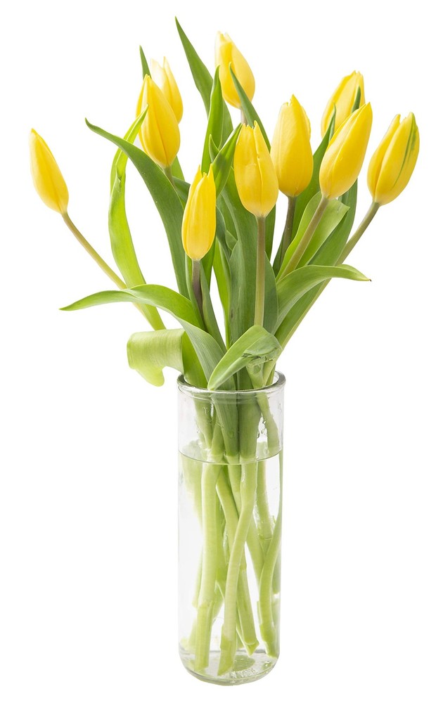 KaBloom-10 Yellow Tulip Bouquet,Flowers for Valentine, Mother’s Day 10,