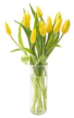 KaBloom-10 Yellow Tulip Bouquet,Flowers for Valentine, Mother’s Day 10,