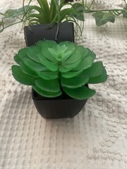 Cute Set~ 3 Assorted 3,4, 5” Faux Small Succulent Plants Pots Wedding Home Decor