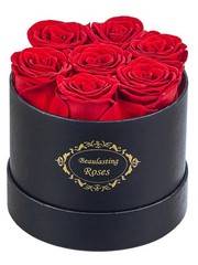 Beaulasting Long Lasting Preserved Roses in a Box Last a Year Black Box, Red