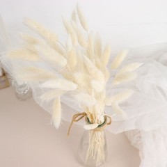 WHITE 50 Stems 15″ Rabbit Tail Dried Natural Pampas Grass SPRAYS Party Events