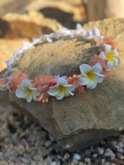 Bali Plumeria Franjapani Wedding Party Crown Flower