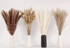 Dried Pampas Grass Decor, 100 Stems Pampas Grass Contains Bunny Tails Dried Flow