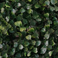 22 sq ft Artificial Faux Foliage Green Large Leaves 11 UV Protected Wall Mat