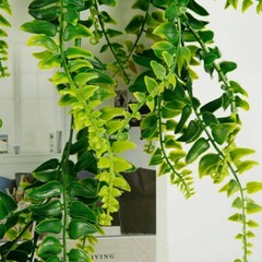 Artificial Fake Flower Vine Hanging Garland Leaf Plant Home Garden Decor UK