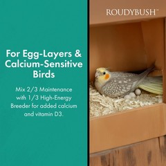 RoudyBush Daily Maintenance Bird Food, Mini, 25-Pound (225MIDM)