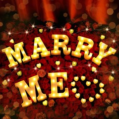 Hortsun Marry Me Light up Letters Proposal Decorations Will You Me, Red