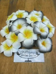 Bali Frangipani Neoprene/Foam Flowers x 20(white/black) Wedding,Decoration x 7cm