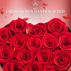 16-Piece Preserved Rose Birthday Gifts for Women, Eternal 16 Rose, Red