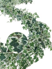 pcs Artificial Ivy Artificial Vines Artificial Plants 71 Inch 2 Green and White