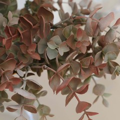 3 GREEN RED 13″ ARTIFICIAL Eucalyptus Bushes Faux GREENERY STEMS Party Supplies
