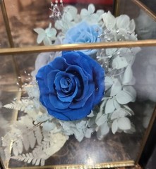 Preserved Roses in Glass Box/Terrarium❤️Wedding /Anniversary/ Birthday Gift