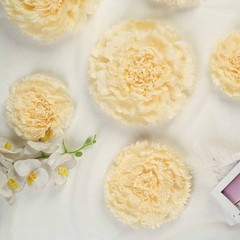 24 pack 7″ 9″ 11″ Ivory and Cream Tissue Paper Carnation Flowers Home Backdrop