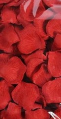 Fake Rose Petals for Romantic Night Red 5500 Pcs, Artificial Silk Faux Flowers