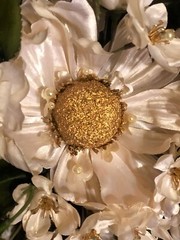 Winter Daisey Wedding Bouquet