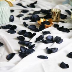 Navy Blue Rose Petals,Flower Petals,Silk Rose Petals Scatter Petals for Wedding