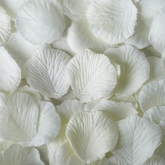 2000 Ivory Silk Rose PETALS Wedding Party Decorations Supplies WHOLESALE