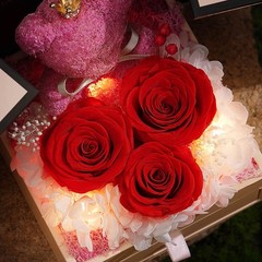 Preserved Eternal Rose With “I Love You” in 100 Languages Necklace