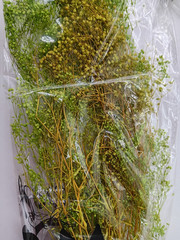 SOLA WOOD FLOWERS BOUTONNIERE BOUQUET ASSORTMENT | NO BARK