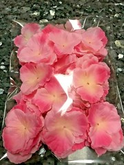 100 pcs peach cherry rose petal for wedding birthday party decoration