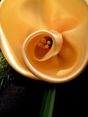 “The Nancy Rose” Unique Artisanal Yellow Fabric Satin Rose.