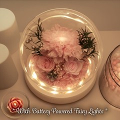 GLAMOUR BOUTIQUE Preserved Flowers Rose in Glass Dome w/Light – Long Pink