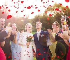 3000 Petalos Rosa Artificiales De Seda Para Decoracion San Valentin Bodas Noches