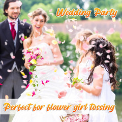 180 PCS Real Pink Dried Rose Petals Confetti for Wedding, 1.75Oz Freeze Rose Pet