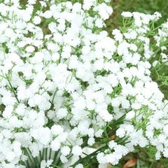Baby Breath Flowers Artificial,12 Pcs Fake Babys Breath Real Touch White