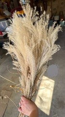 Dried Floral Bundle