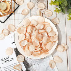 Whaline 600 Pcs Silk Rose Petals Champagne Gold Flower Petals Artificial Scatter