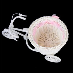 Rattan Bicycle Storage Basket Float Vase Plant Stand Holder Flower Basket