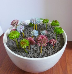 Artificial Succulents Plants 3 Colors Mini Stone Grass Set of 18