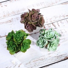 3 Green 5″ Assorted Faux Cute Succulent Echeveria Plants Off White Ceramic Pots