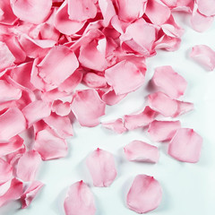 180 PCS Real Pink Dried Rose Petals Confetti for Wedding, 1.75Oz Freeze Rose Pet