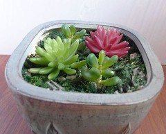 4 Artificial Succulents 3 Stem Yacon Red Finger Lotus Grass