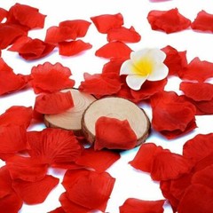 1000PCS Red Artificial Fake Rose Petals Wedding Event Romantic Night Party Decor