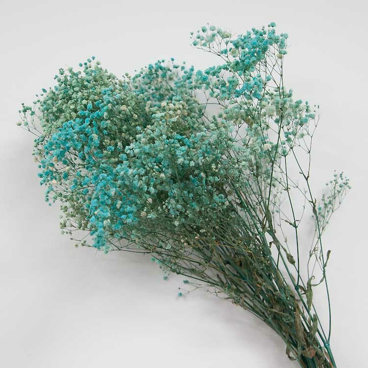 Dried Preserved Baby’s Breath Gypsophila Bunch 5 Colours Home Decor Centrepiece