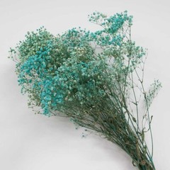 Dried Preserved Baby’s Breath Gypsophila Bunch 5 Colours Home Decor Centrepiece